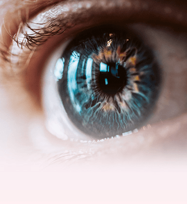 Vista ravvicinata per la salute della vista e del sistema immunitario